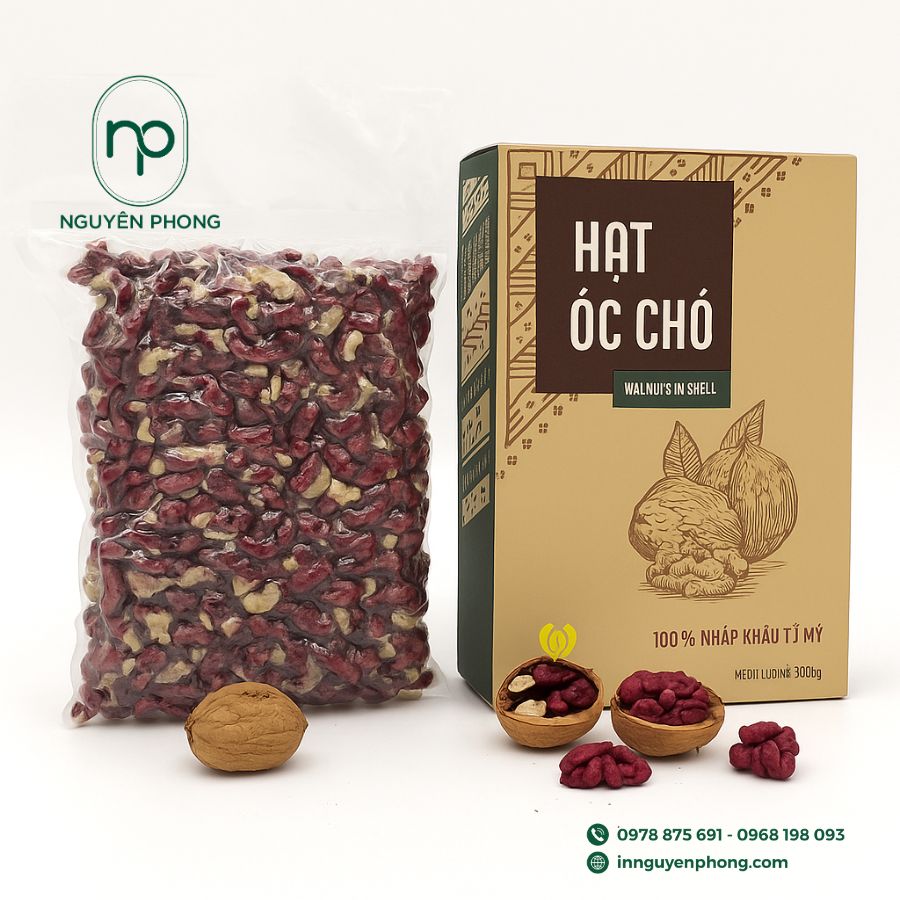 in-hop-giay-dung-oc-cho-gia-re-tai-ha-noi